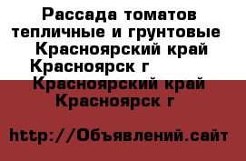 Рассада томатов тепличные и грунтовые  - Красноярский край, Красноярск г.  »    . Красноярский край,Красноярск г.